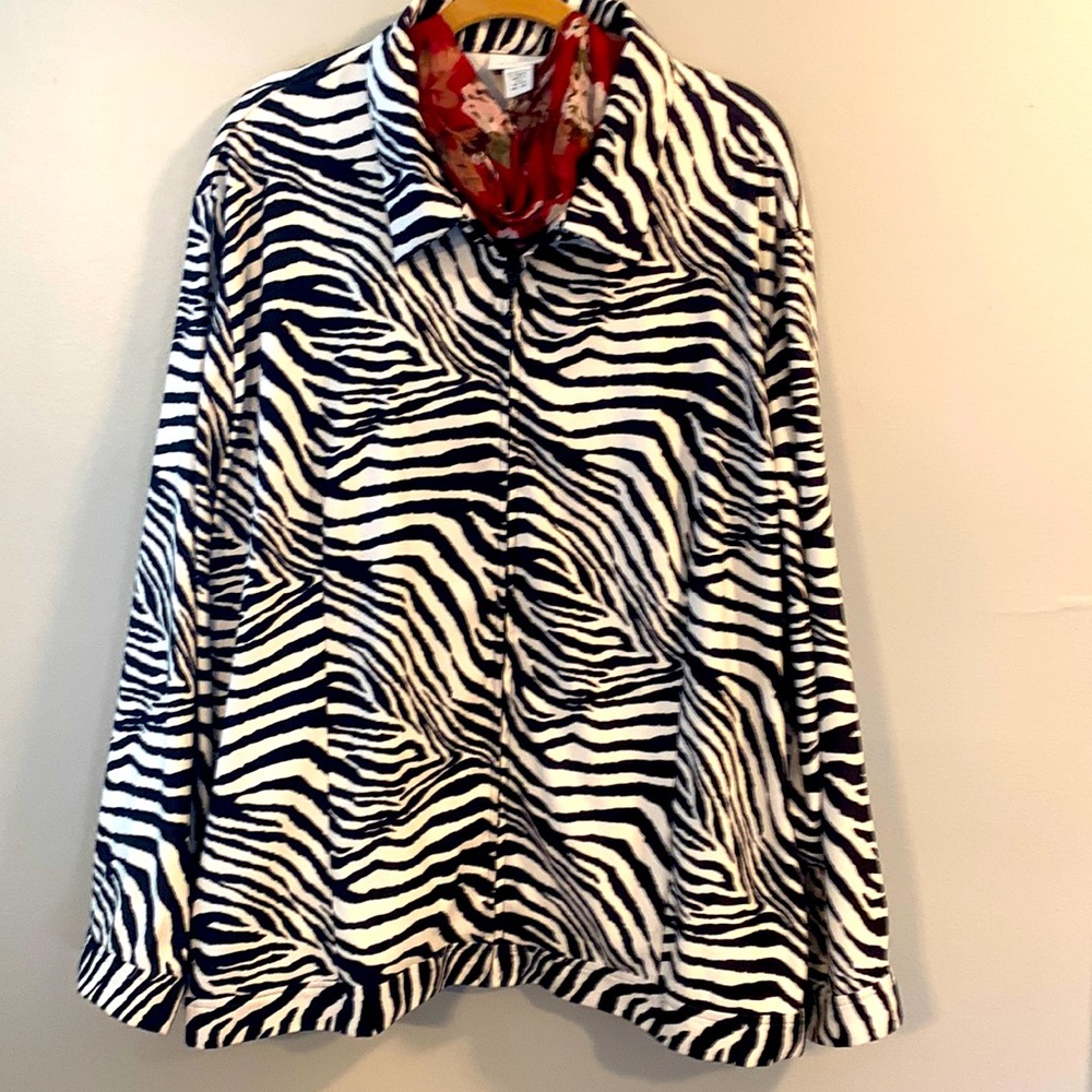 Avenue Zebra print Jacket size 30/32